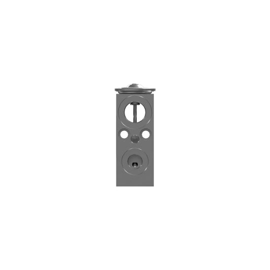 552-8909 Expansion Valve